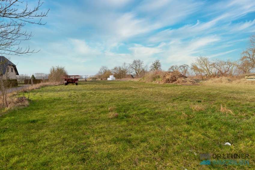 Thumbnail-Grundstück zu verkaufen in Fehrbellin 99.000,00 € 900 m²