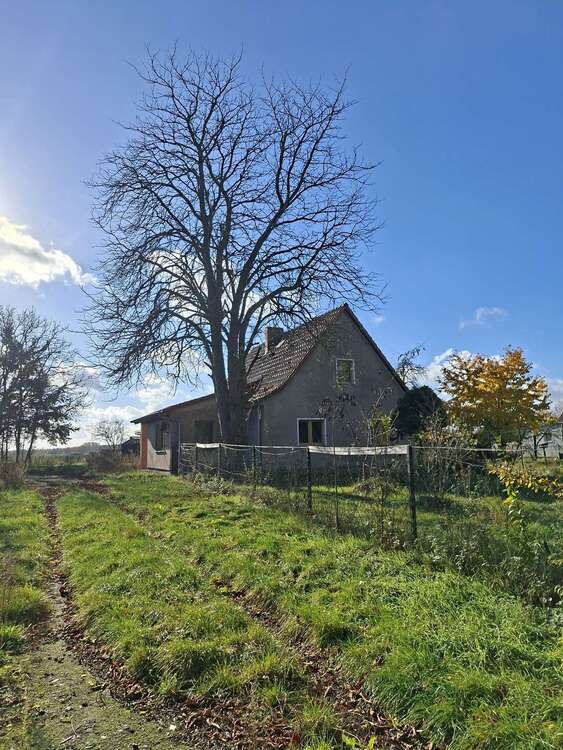 Thumbnail-Haus zum Kaufen in Wiesenaue OT Jahnberge 239.000,00 € 120 m²