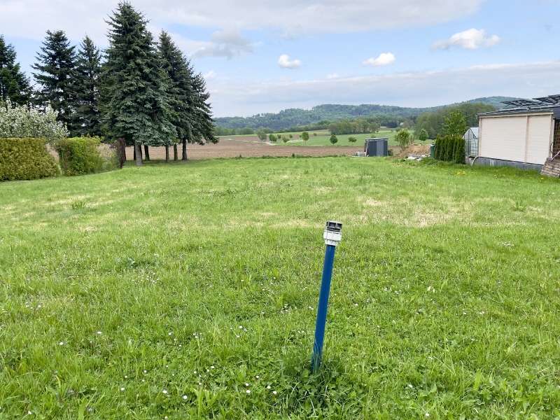 Thumbnail-Grundstück zu verkaufen in Steina 250.000,00 € 2500 m²