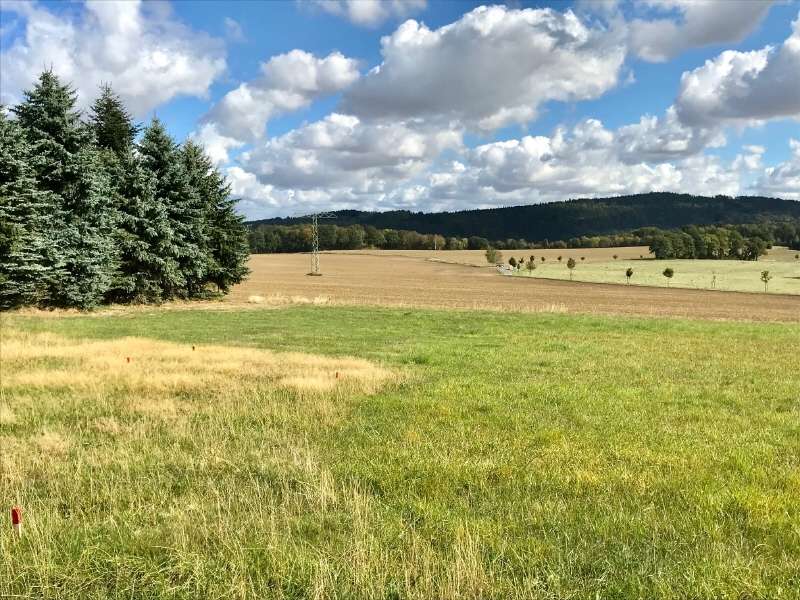 Thumbnail-Grundstück zu verkaufen in Steina 250.000,00 € 2500 m²