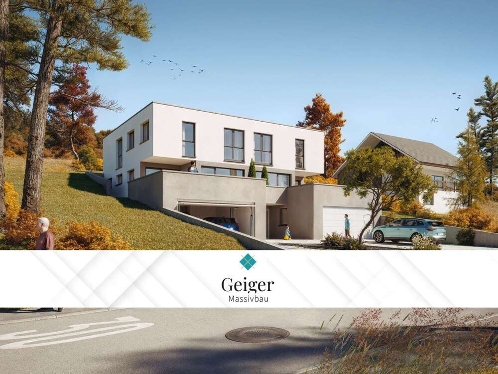 Thumbnail-Haus zum Kaufen in Albstadt-Ebingen 795.000,00 € 165.54 m²