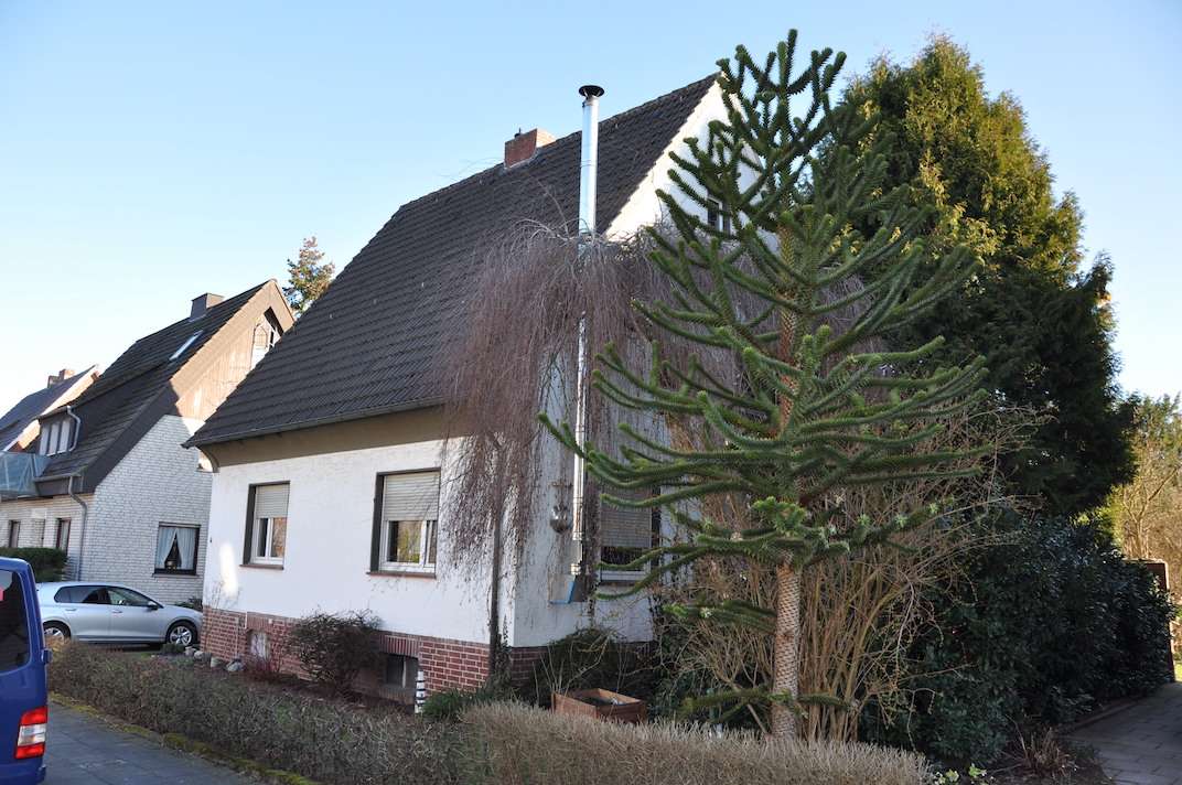 Thumbnail-Haus zum Kaufen in Beckum 305.000,00 € 121 m²