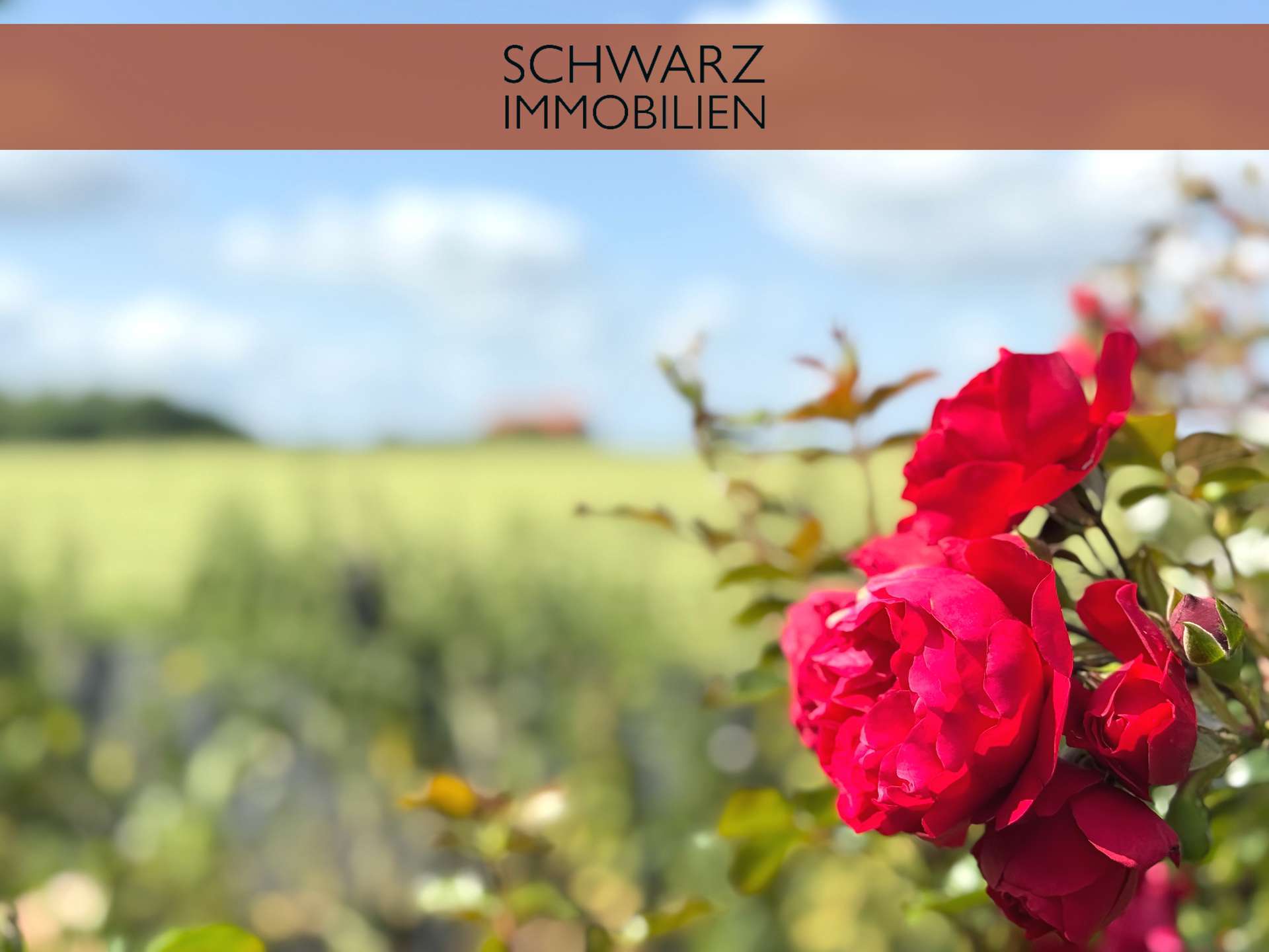 Thumbnail-Haus zum Kaufen in Erwitte 299.900,00 € 171.91 m²