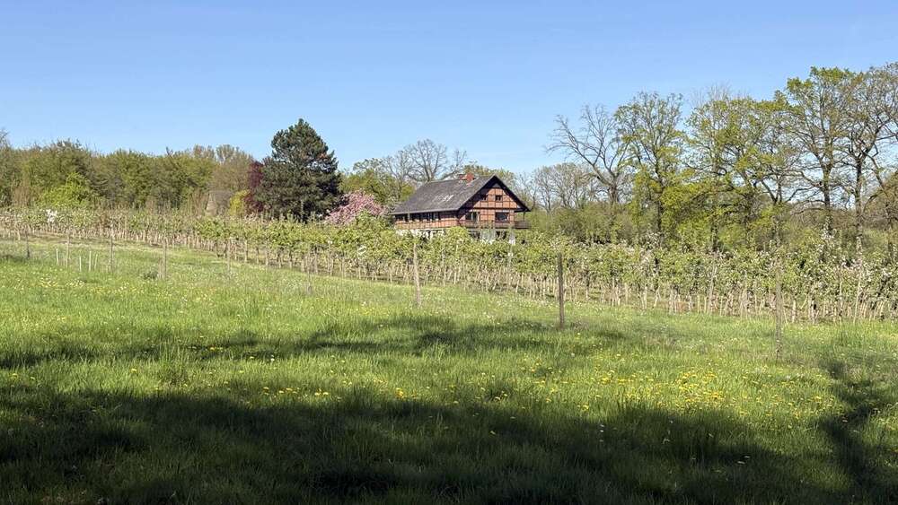 Thumbnail-Haus zum Kaufen in Oelde 985.000,00 € 250 m²