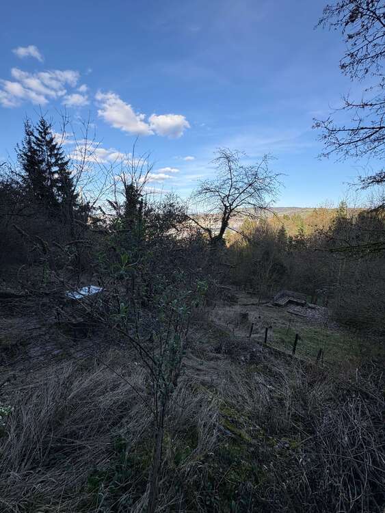 Thumbnail-Grundstück zu verkaufen in Stuttgart 31.900,00 € 1454 m²