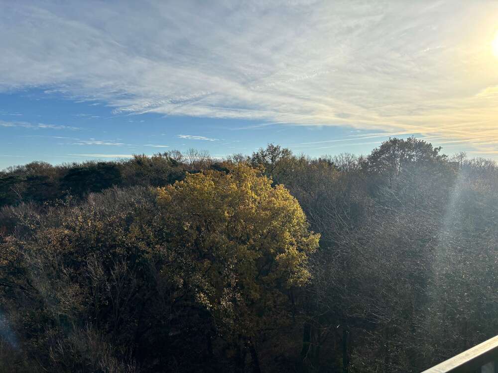 Thumbnail-Wohnung zum Kaufen in Hannover 196.000,00 € 58 m²