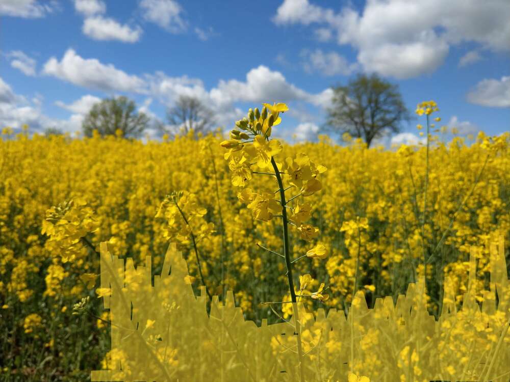 Thumbnail-Grundstück zu verkaufen in Käbschütztal 104.125,00 € 833 m²