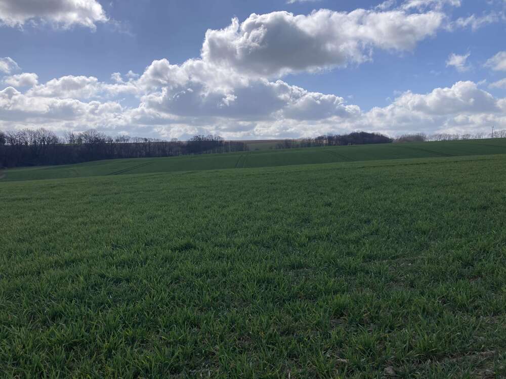 Thumbnail-Grundstück zu verkaufen in Käbschütztal 145.375,00 € 1163 m²