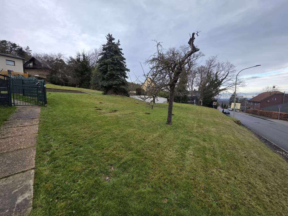 Thumbnail-Grundstück zu verkaufen in Nideggen 135.000,00 € 734 m²