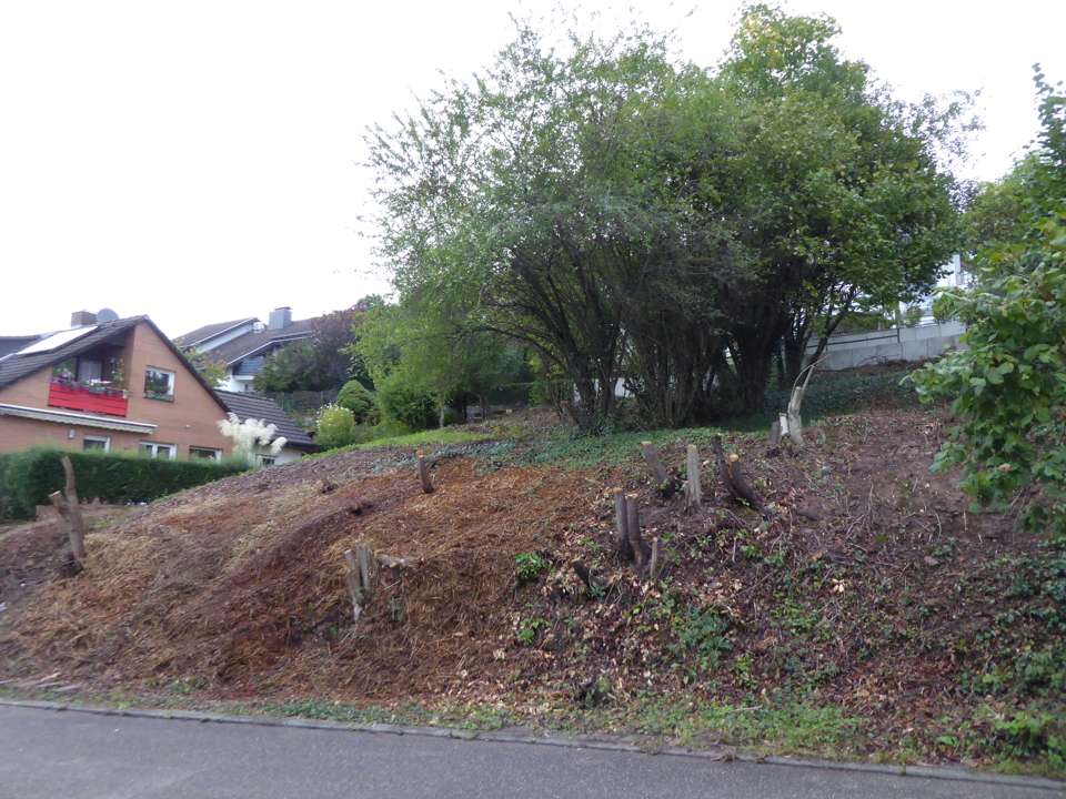 Thumbnail-Grundstück zu verkaufen in Neckargemünd 200.000,00 € 311 m²