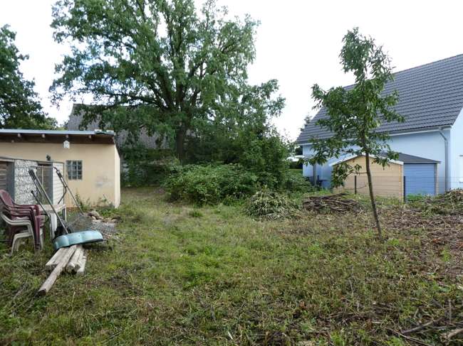 Thumbnail-Grundstück zu verkaufen in Mühlenbecker Land 330.000,00 € 718 m²