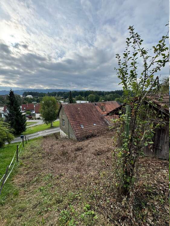 Thumbnail-Grundstück zu verkaufen in Weißensberg 460.000,00 € 819 m²