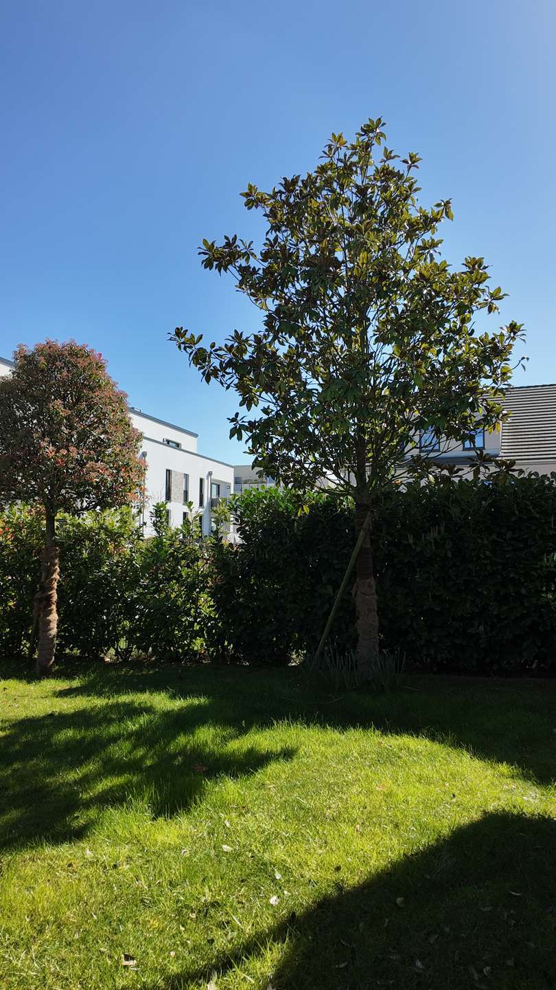 Thumbnail-Haus zum Kaufen in Köln 1.249.000,00 € 156.65 m²