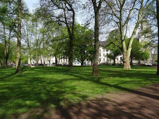 Thumbnail-Wohnung zum Mieten in Krefeld 595,00 € 34 m²