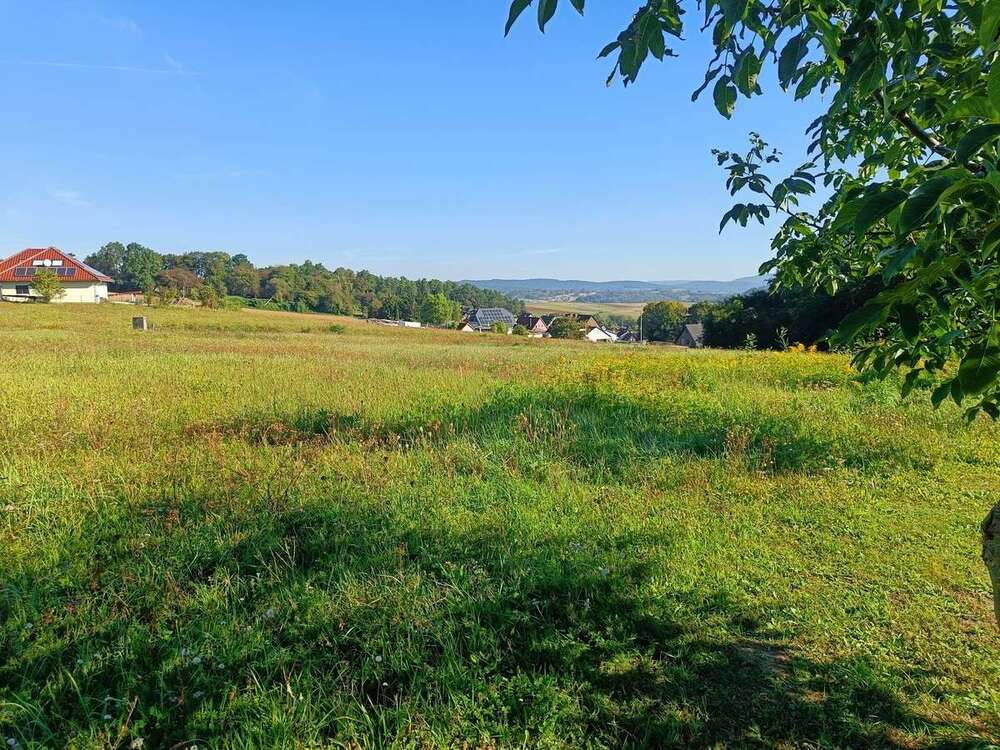 Thumbnail-Grundstück zu verkaufen in Cornberg 28.659,00 € 699 m²