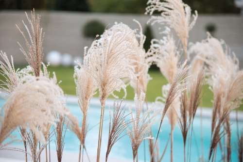 Thumbnail-Haus zum Kaufen in Pirna 526.783,00 € 135 m²