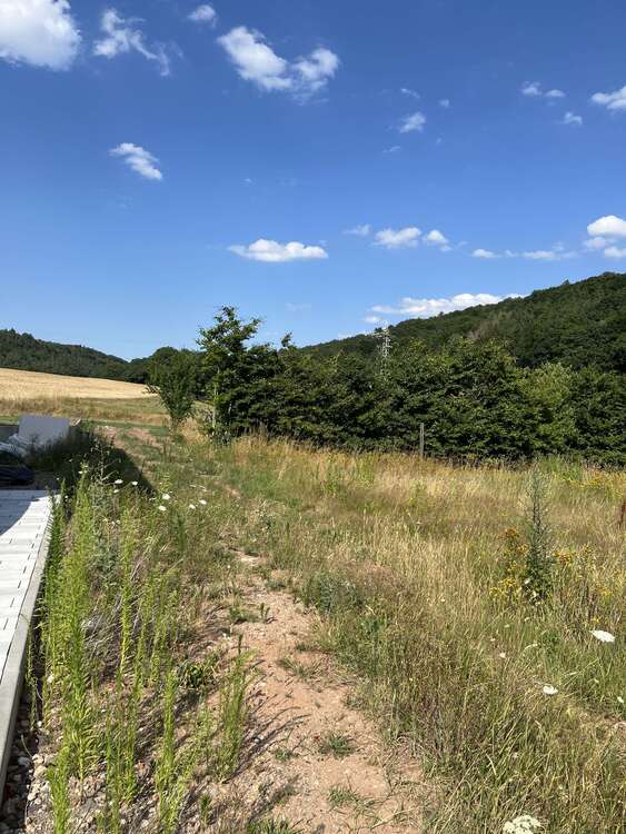 Thumbnail-Grundstück zu verkaufen in Bechhofen 130.000,00 € 608 m²