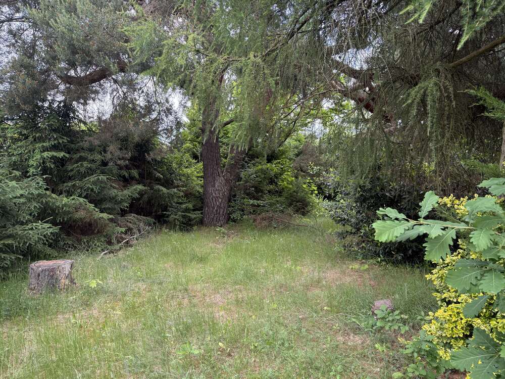 Thumbnail-Grundstück zu verkaufen in Birkenwerder 315.000,00 € 775 m²