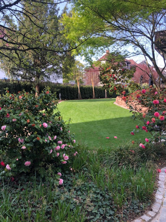 Thumbnail-Haus zum Mieten in Heidelberg 3.800,00 € 196 m²