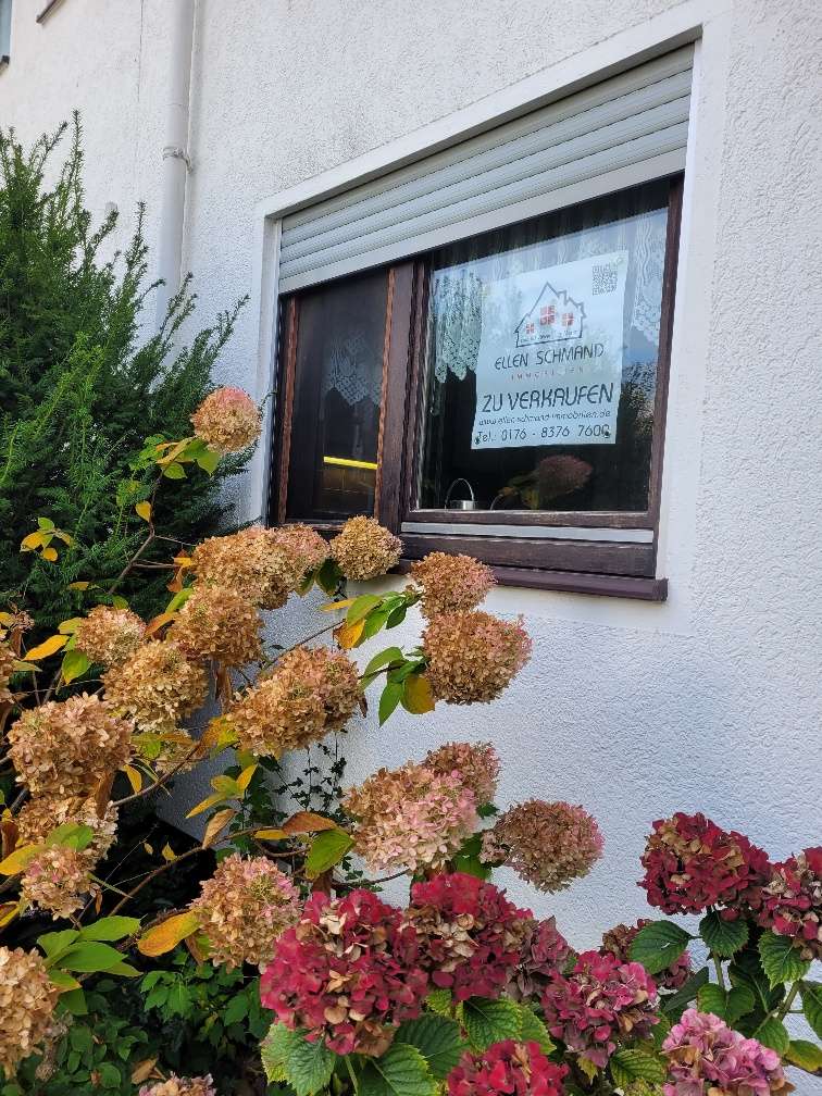 Thumbnail-Haus zum Kaufen in Mainz Ebersheim 499.000,00 € 140 m²