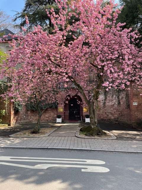 Thumbnail-Wohnung zum Kaufen in Heidelberg 1.022.000,00 € 107 m²