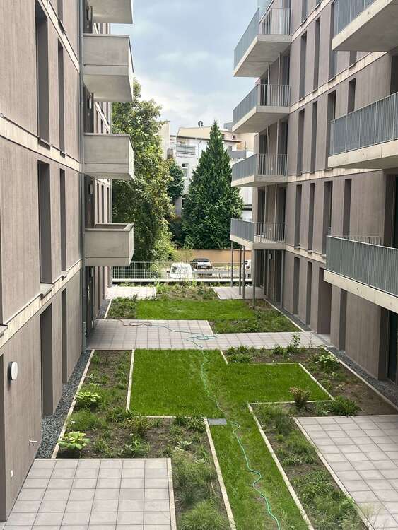 Thumbnail-Wohnung zum Mieten in Halle (Saale) 568,62 € 42.12 m²