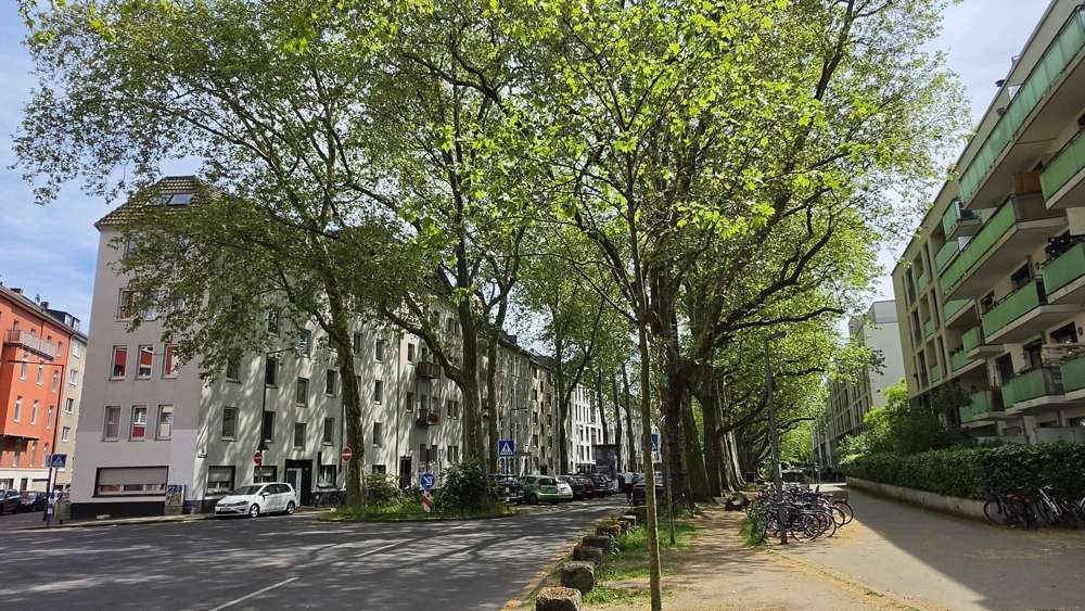 Thumbnail-Wohnung zum Kaufen in Köln 329.000,00 € 55 m²
