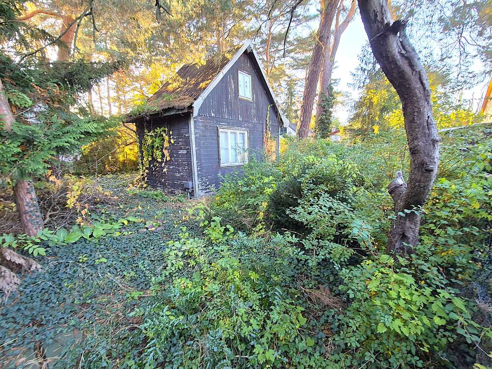 Thumbnail-Grundstück zu verkaufen in Königs Wusterhausen OT Wernsdorf 98.500,00 € 254 m²