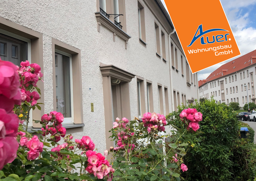 Thumbnail-Wohnung zum Mieten in Aue-Bad Schlema 384,36 € 64.06 m²