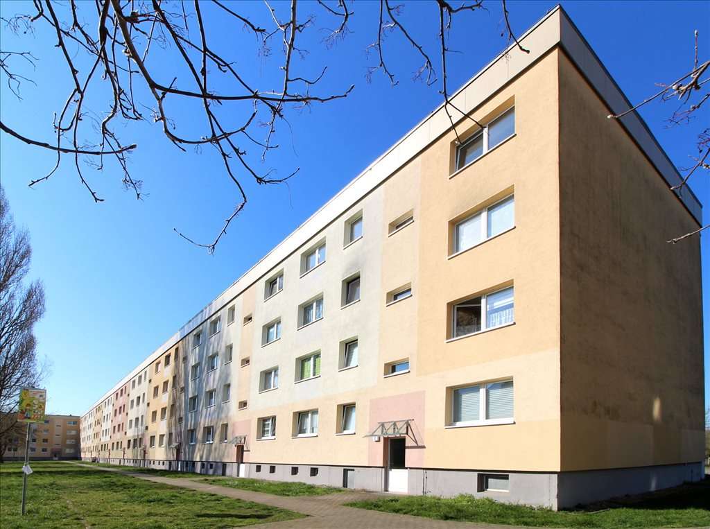 Thumbnail-Wohnung zum Mieten in Magdeburg 365,04 € 56.16 m²