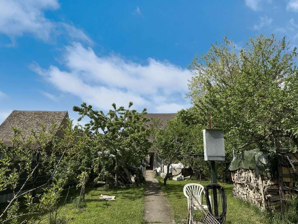 Thumbnail-Haus zum Kaufen in Haßloch 387.000,00 € 145 m²