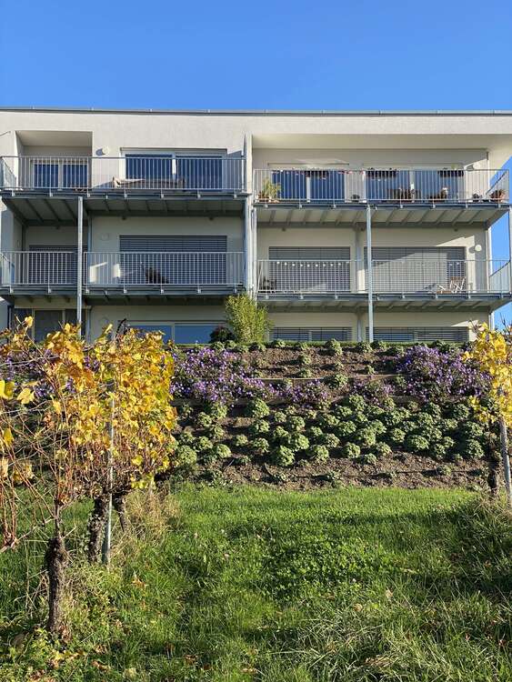 Thumbnail-Wohnung zum Mieten in Bad Bellingen 1.280,00 € 73.69 m²