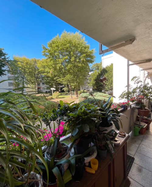 Thumbnail-Wohnung zum Kaufen in Bergheim 115.000,00 € 96 m²