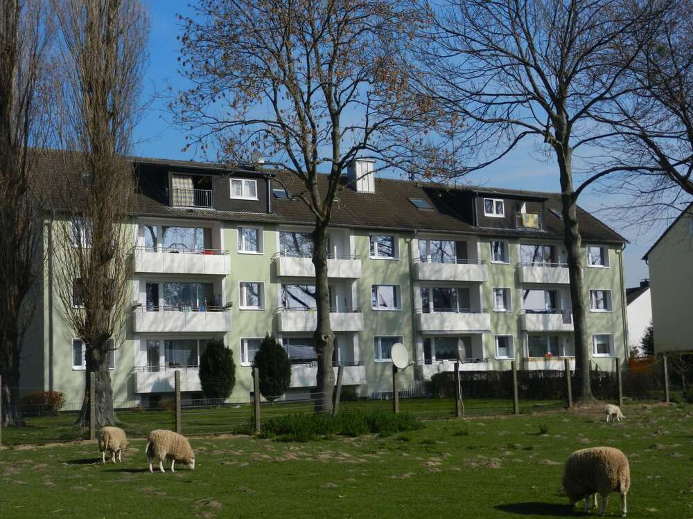 Thumbnail-Wohnung zum Mieten in Werl 570,00 € 80 m²