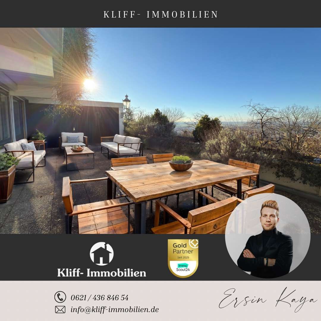 Thumbnail-Wohnung zum Kaufen in Heidelberg 725.000,00 € 195 m²