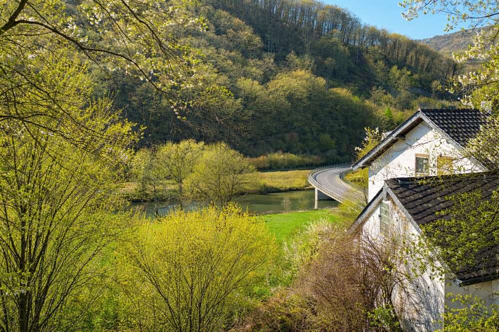 Thumbnail-Grundstück zu verkaufen in Dausenau 159.000,00 € 1945 m²