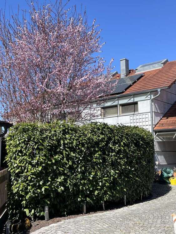 Thumbnail-Haus zum Kaufen in Moosinning 1.099.000,00 € 230 m²