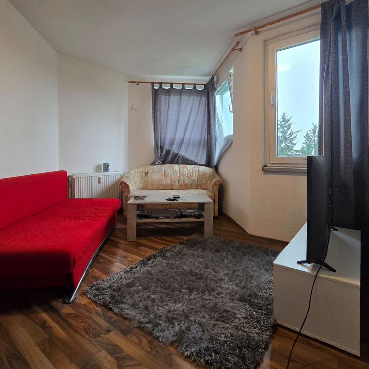 Thumbnail-Wohnung zum Kaufen in Rüsselsheim am Main 100.000,00 € 30 m²