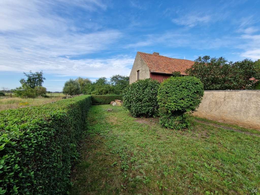 Thumbnail-Haus zum Kaufen in Küstriner Vorland 159.500,00 € 99.41 m²