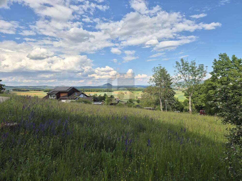 Thumbnail-Grundstück zu verkaufen in Tengen 199.000,00 € 1023 m²