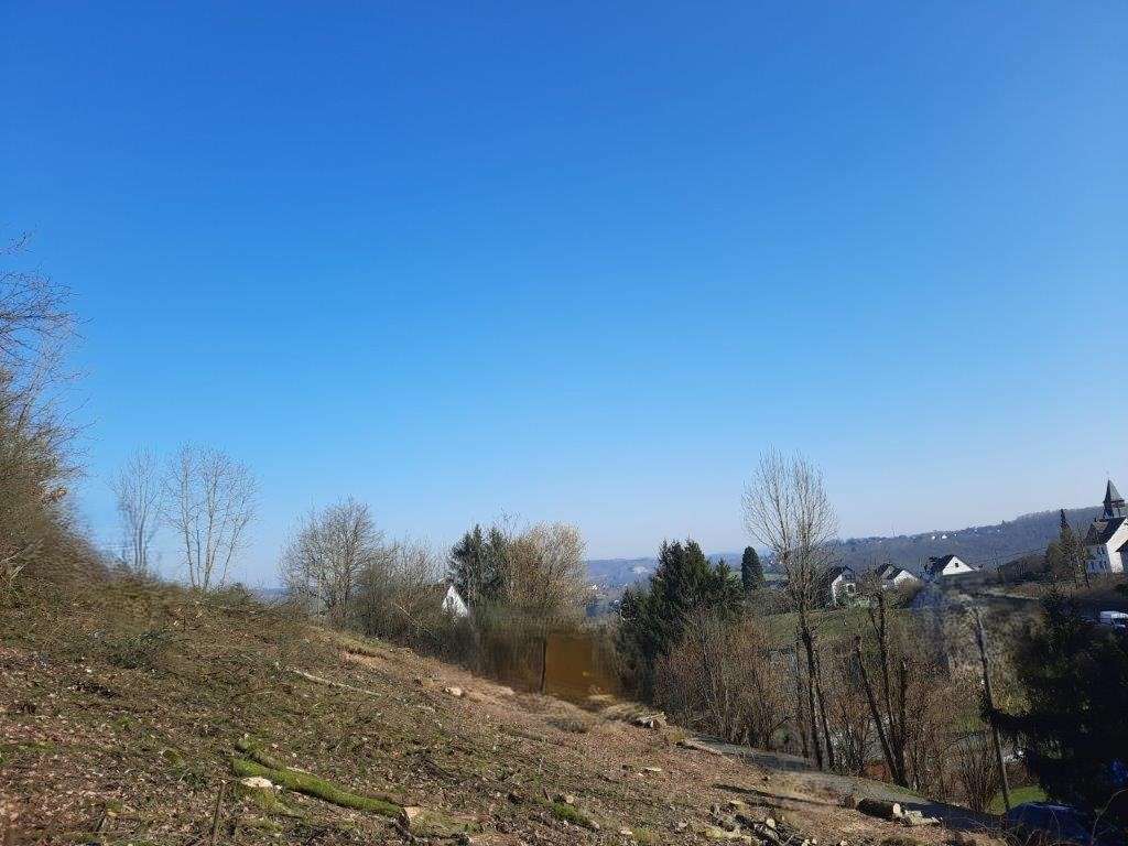 Thumbnail-Grundstück zu verkaufen in Roth 77.000,00 € 2008 m²