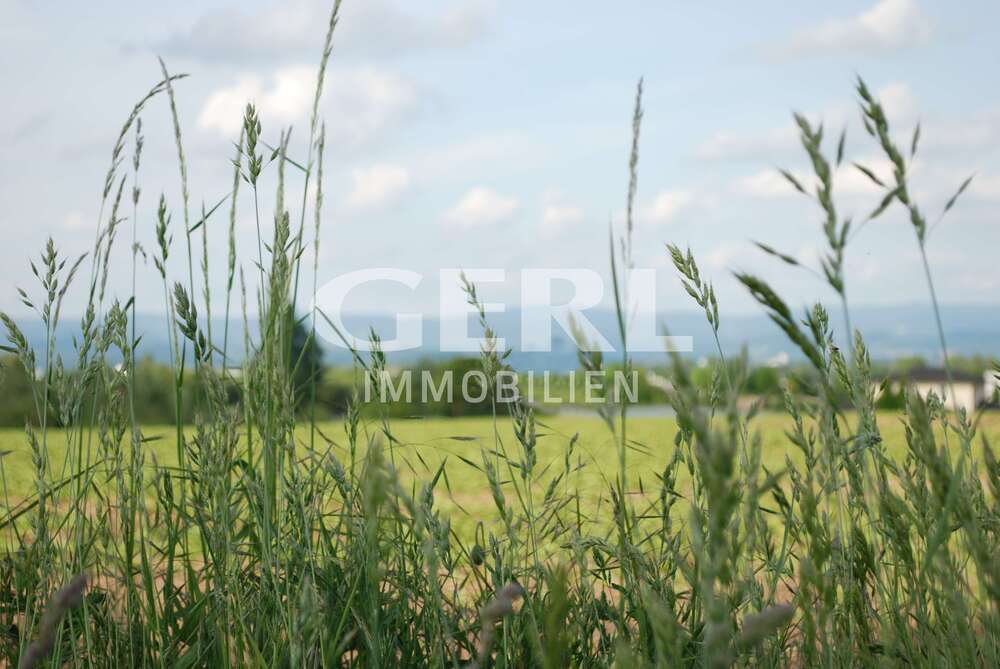 Thumbnail-Grundstück zu verkaufen in Mariaposching 93.528,00 € 6928 m²