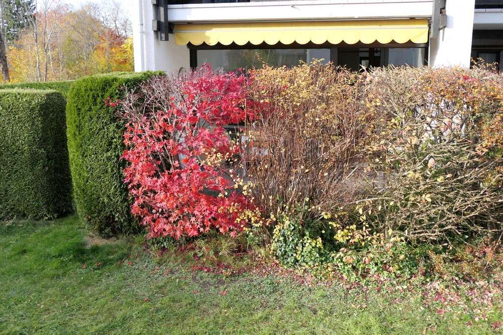 Thumbnail-Wohnung zum Kaufen in Bad Tölz 305.000,00 € 58.88 m²