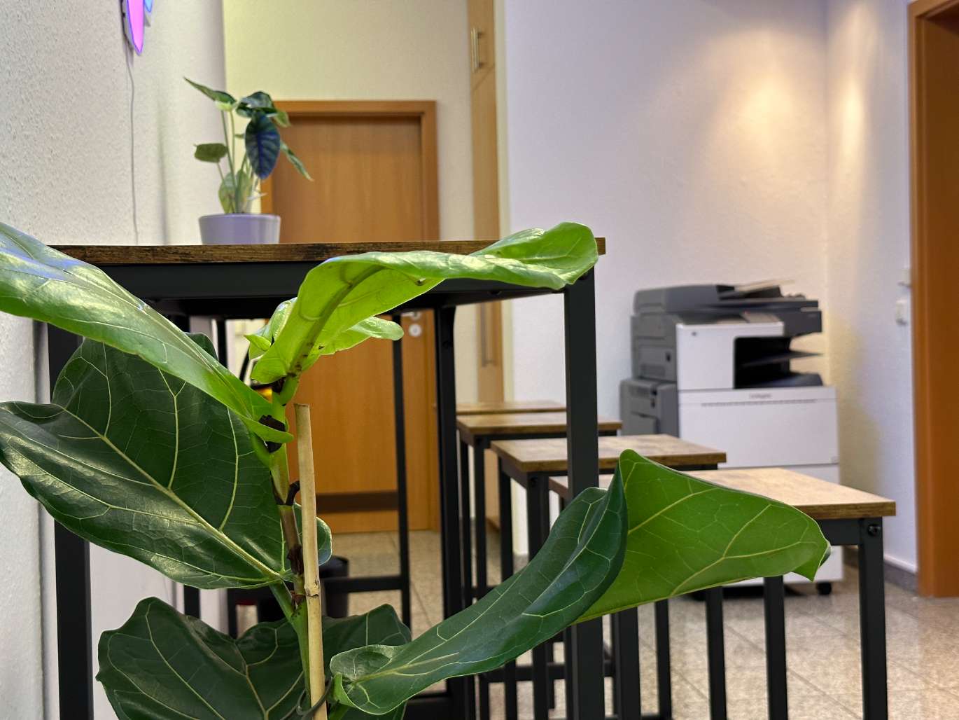 Thumbnail-Büro in Nürnberg 299,00 € 4 m²