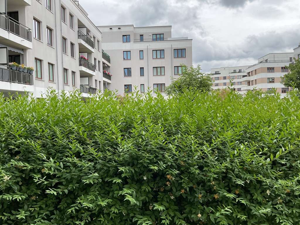 Thumbnail-Wohnung zum Mieten in Berlin 646,79 € 47.91 m²