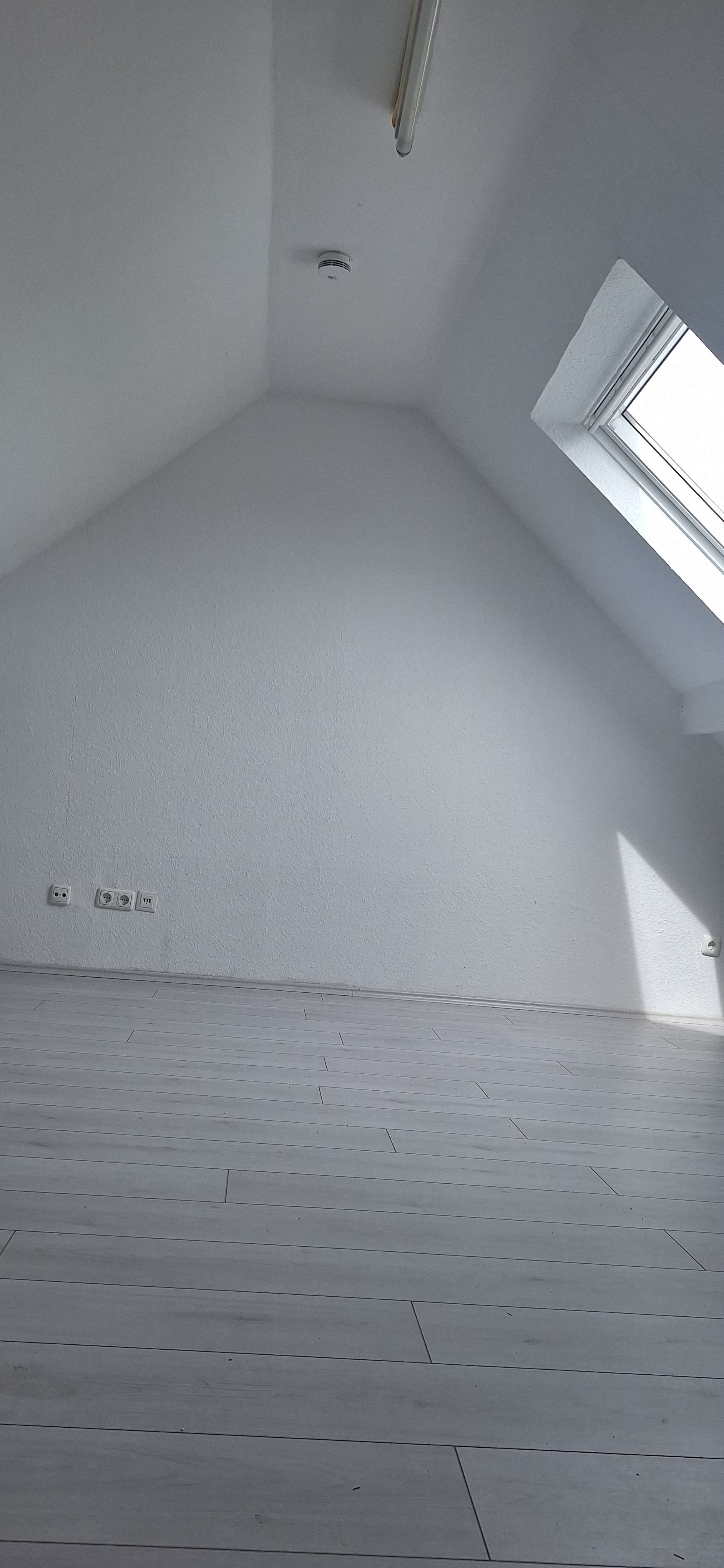 Thumbnail-Wohnung zum Mieten in Köln 530,00 € 27.84 m²