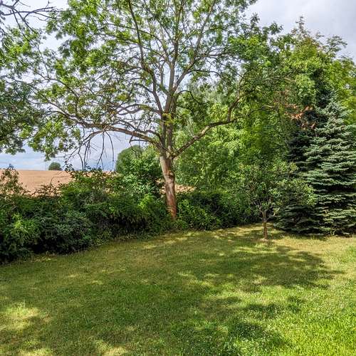 Thumbnail-Wohnung zum Mieten in Freiberg 407,00 € 54.24 m²