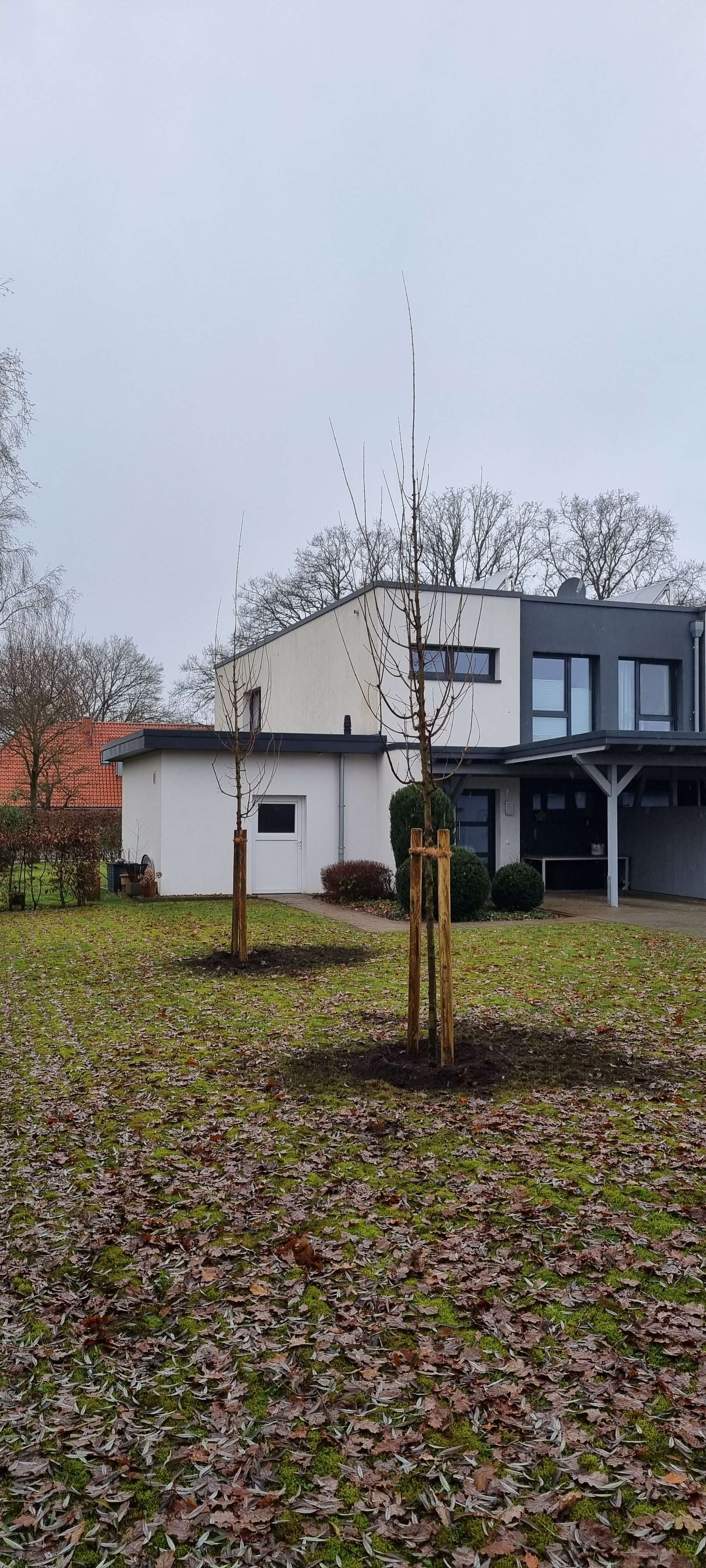 Thumbnail-Haus zum Mieten in Oldenburg 1.350,00 € 130 m²