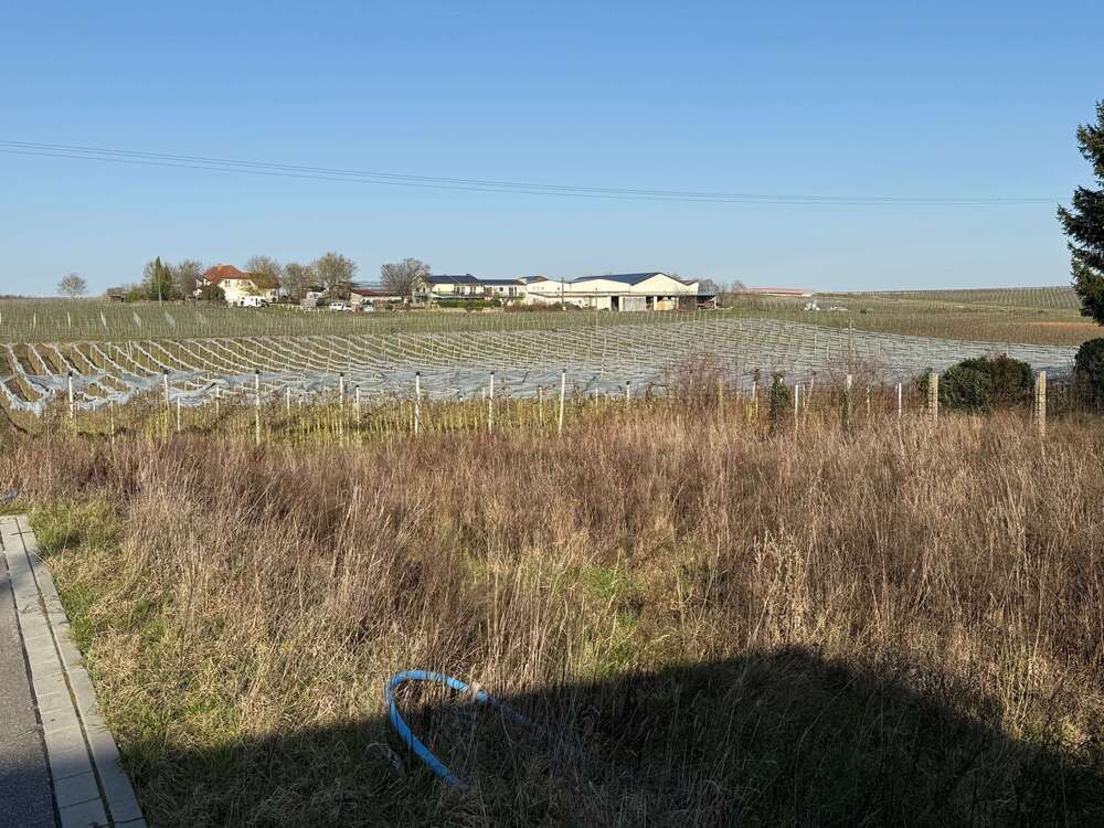 Thumbnail-Grundstück zu verkaufen in Impflingen 210.000,00 € 397 m²