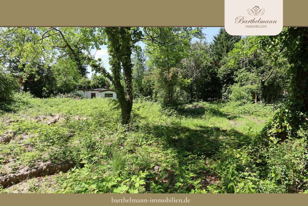 Thumbnail-Grundstück zu verkaufen in Brandis Waldsteinberg 400.000,00 € 1880 m²